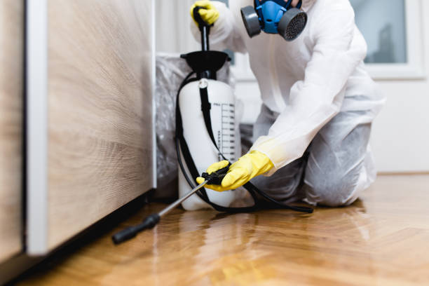 Best Insect Control  in Janesville, IA