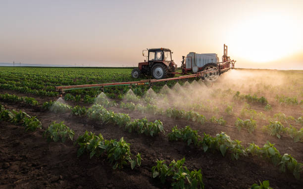 Best Local Pest Control Services  in Janesville, IA