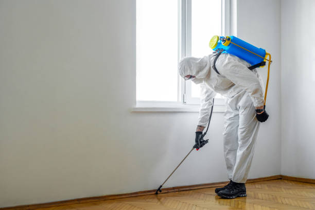 Best Residential Pest Control  in Janesville, IA