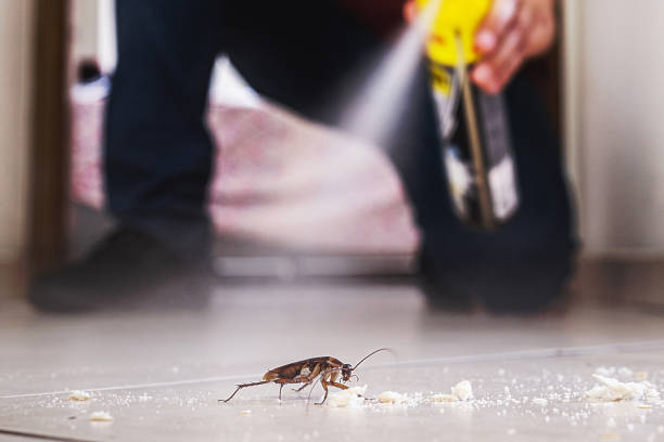 Best Pest Control for Homes  in Janesville, IA