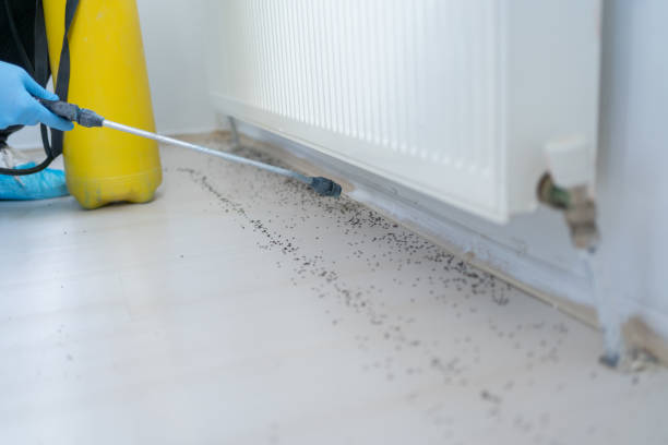 Best Best Pest Control Companies  in Janesville, IA